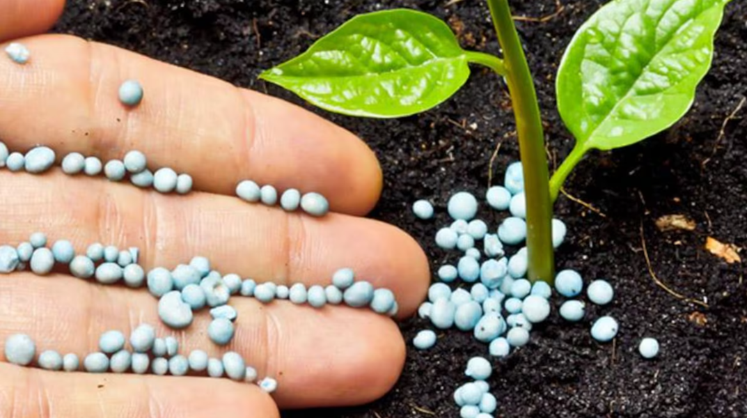 Engrais marocains : 2025, l’année du record européen !