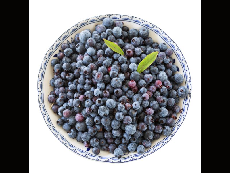 Bleuets sauvages : un super-fruit à faible index glycémique pour le cœur, le microbiote et le cerveau