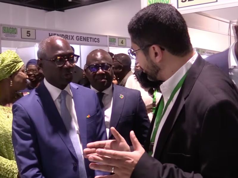 SIAGRO 2026 : l’expertise marocaine au service de l’essor avicole sénégalais