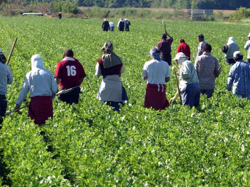 Souss-Massa : 10 projets d’agriculture solidaire pour jeunes et femmes rurales