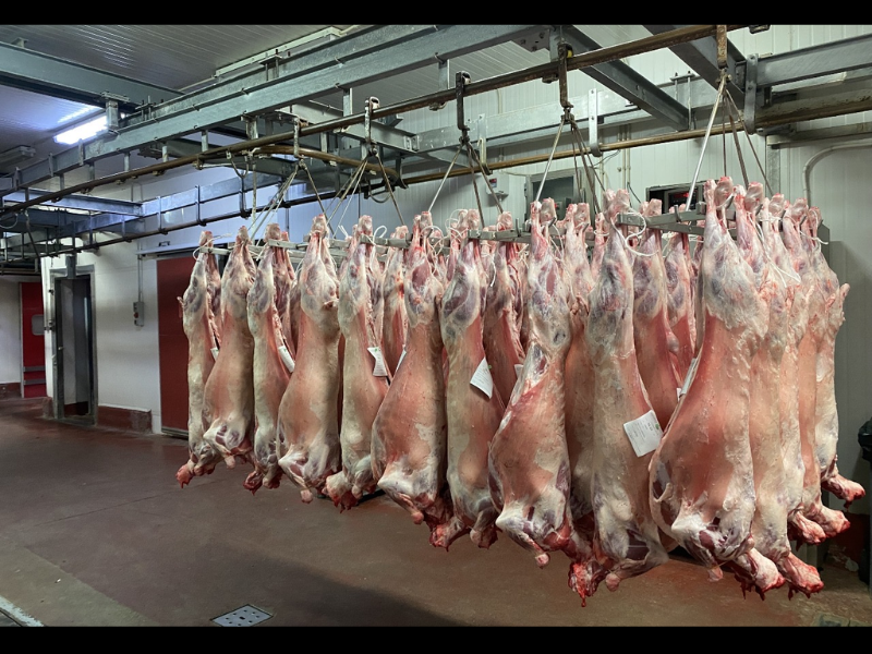 Viande rouge : la flambée avant l’Aïd