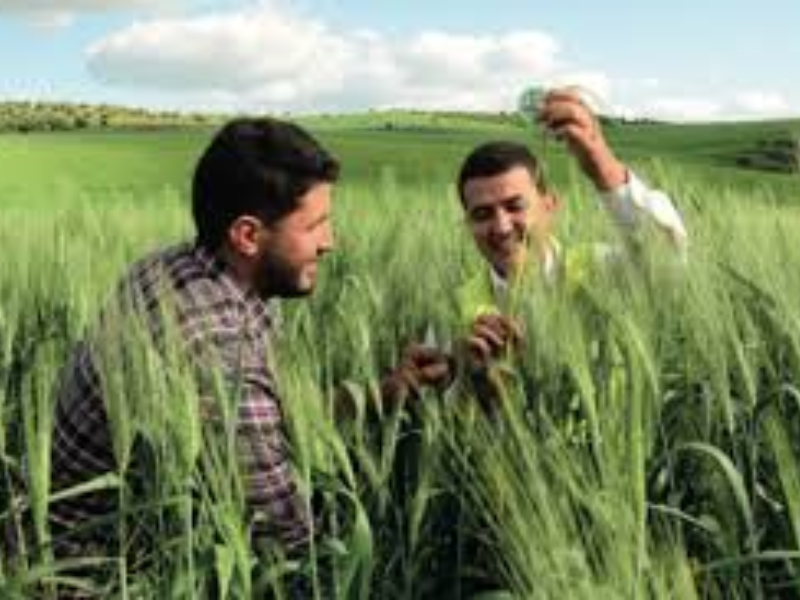 L'OCP réinvente l’agriculture au SIAM