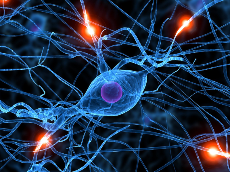 Maladie de Parkinson : une découverte sur le microbiote intestinal ouvre la voie à un diagnostic révolutionnaire.