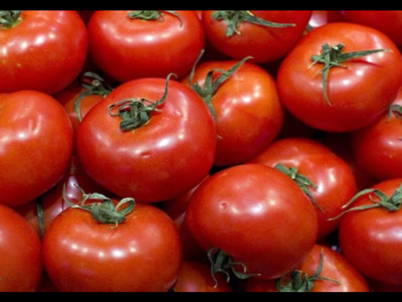 La flambée de la tomate ravive les tensions sur le panier alimentaire