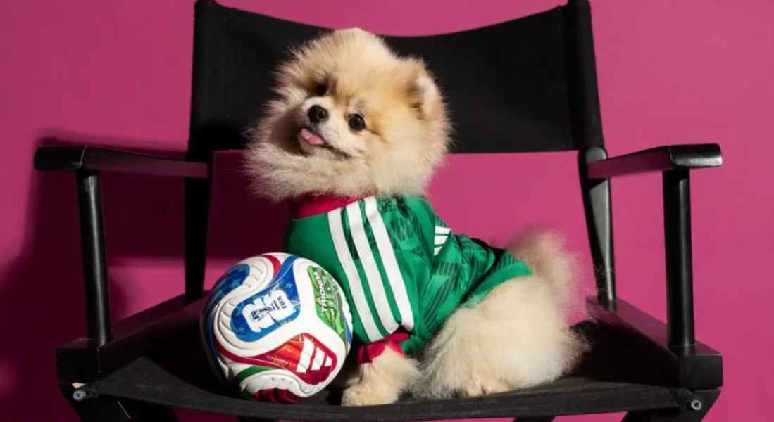 Mondial 2026 : Adidas met les chiens et chats dans le match