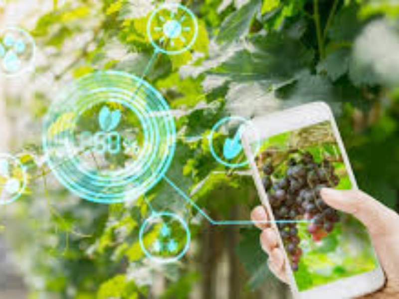 Génération Green entre dans l’ère digitale