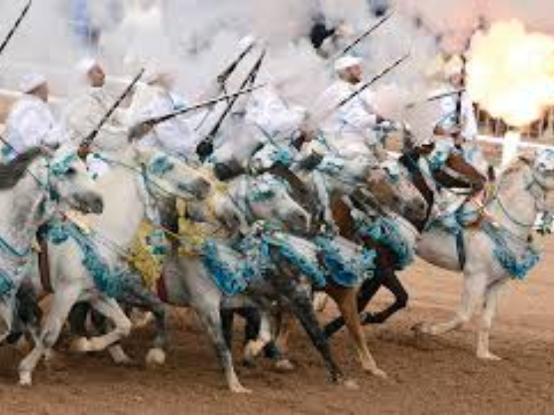 Le cheval au cœur du SIEL