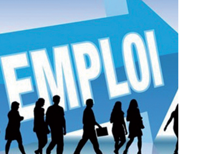 Entrepreneuriat : la plateforme DirectEntreprise franchit le cap des 50.000 créations.