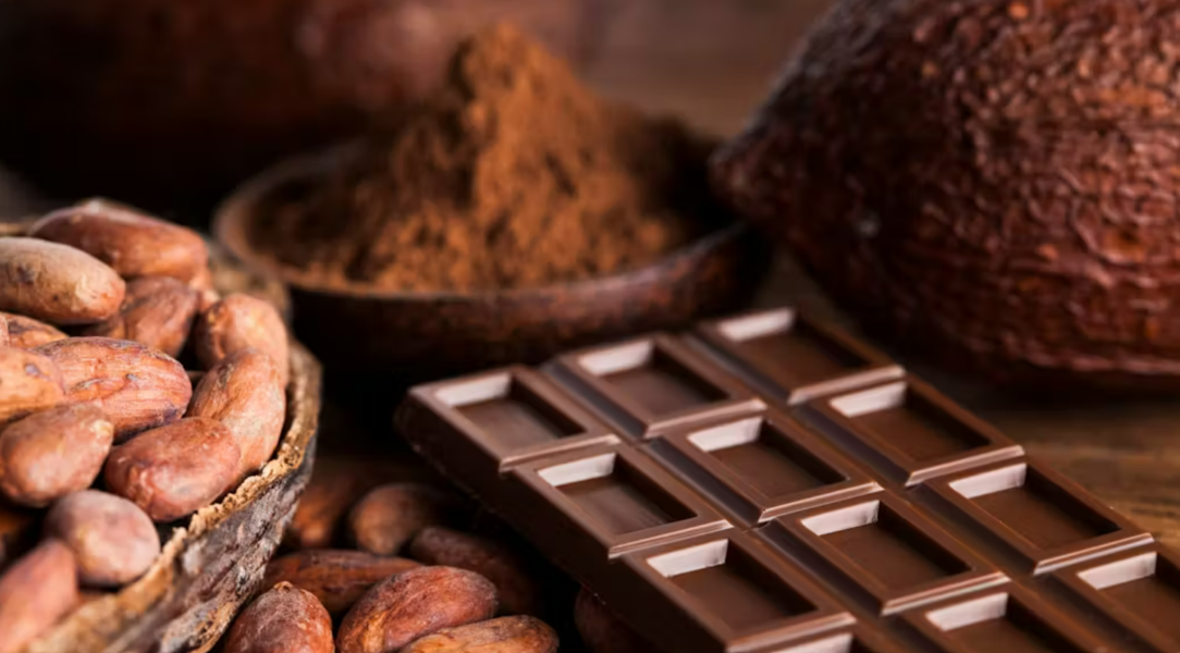 Chocolat au lait et cholestérol : pourquoi le chocolat noir reste le meilleur choix