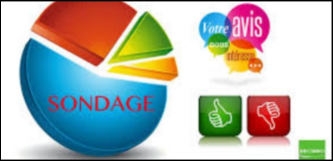 Les sondages, cet ingrédient indispensable à une démocratie en marche