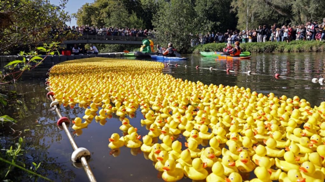 10.000 canards en plastique lancés dans la course la plus improbable de l’année