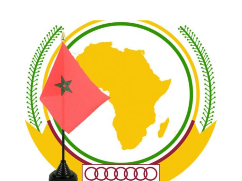 Coopération Sud-Sud : l'offensive économique marocaine à 500 millions de dollars