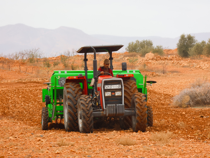 Maroc : la croissance attendue à 4,8 % en 2026, portée par le rebond agricole