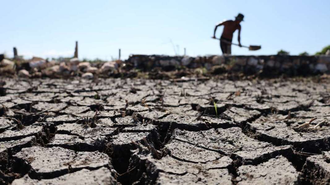 El Niño se renforce : quels risques pour le climat et l’agriculture au Maroc ?