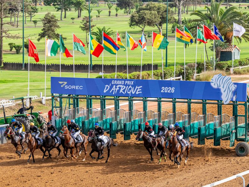 Le Grand Prix d’Afrique 2026 clôture sa 5ᵉ édition entre échanges professionnels et compétition hippique