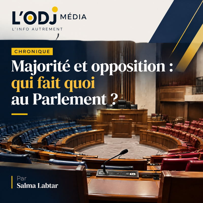 DÉCODAGE | Majorité et opposition : qui fait quoi au Parlement ?