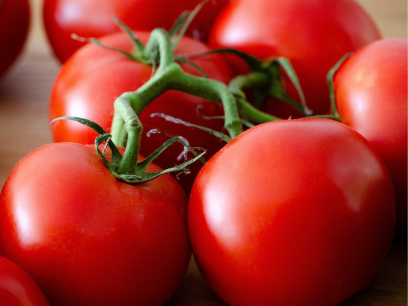 Tomates : le Maroc dépasse le milliard d’euros vers l’UE