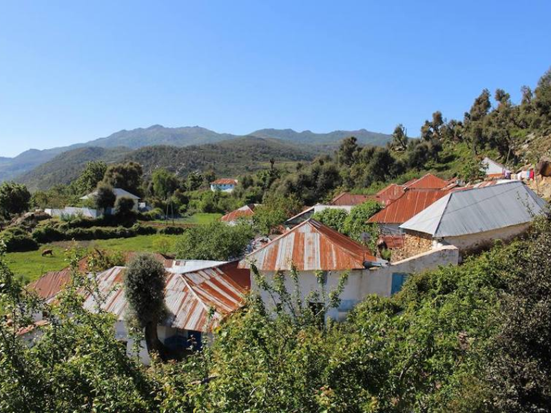 Biodiversité : des espèces inédites recensées au nord du Maroc