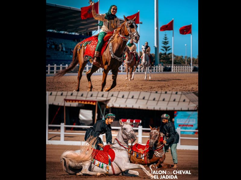 Salon du Cheval d’El Jadida 2026 : la Cavalerie Royale d’Oman fait sa première apparition