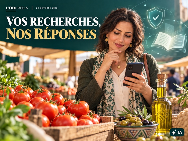 Vos recherches, nos réponses du 23 Octobre 2026