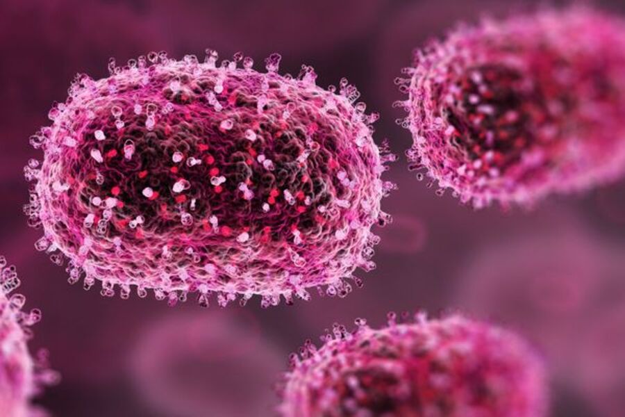 France : le premier patient humain infecté par le virus Shamonda est décédé