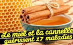 Les vertus de la cannelle et du miel
