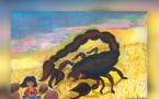 Piqûres de scorpions au Maroc: Grande vigilance en été