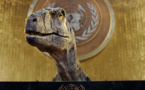 Un dinosaure à l’ONU : Non à l’extinction