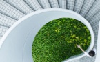 Le confort d’habitation, un besoin à satisfaire ou un atout?