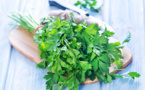 Nutrition : les 7 bienfaits insoupçonnés du persil