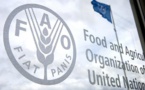 FAO : les prix des denrées alimentaires poursuivent leurs niveaux records