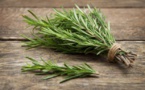 7 utilisations inhabituelles du romarin