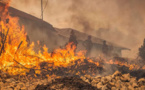 Tétouan : L'incendie de forêt de Bni Idder maîtrisé
