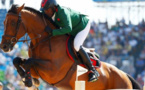 Trophée Maroc Equestre : Voici où et quand aura lieu la 16e édition
