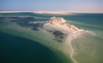 À la découverte de l'île du dragon à Dakhla