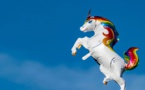 À Los Angeles, une fillette va recevoir un permis officiel pour élever une licorne