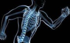Santé des os et sport