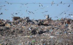 Pollution  : Le lixiviat empoisonne les sols de Casablanca.