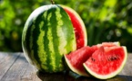 Il était une fois la pastèque du Maroc !