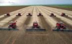 Le Brésil se réimplante en Afrique grâce au partenariat dans l'Agriculture 