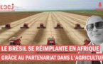 Le Brésil se réimplante en Afrique grâce au partenariat dans l'Agriculture