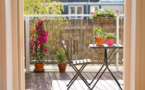 Bien choisir ses plantes pour un balcon verdoyant : Les erreurs à éviter