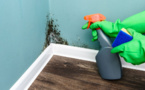 Élimination de la moisissure sur le papier peint : Astuces à connaître