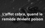 L'Effet Cobra et la Loi de Goodhart : Quand les incitations produisent des résultats inattendus