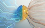 Un bio-ordinateur créé avec des cellules cérébrales humaines