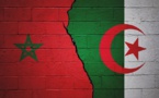 Maroc-Algérie : vol au-dessus d’un nid de frelons