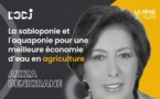 La sabloponie et l'aquaponie pour une meilleure économie d’eau en agriculture