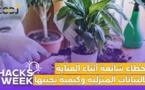 Hacks Week : أخطاء شائعة أثناء العناية بالنباتات المنزلية وكيفية تجنبها