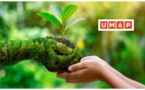 Concours du meilleur rapport de Développement Durable