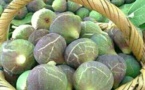 Très cher Karmouss , Comment la figue est devenue un fruit de luxe !?